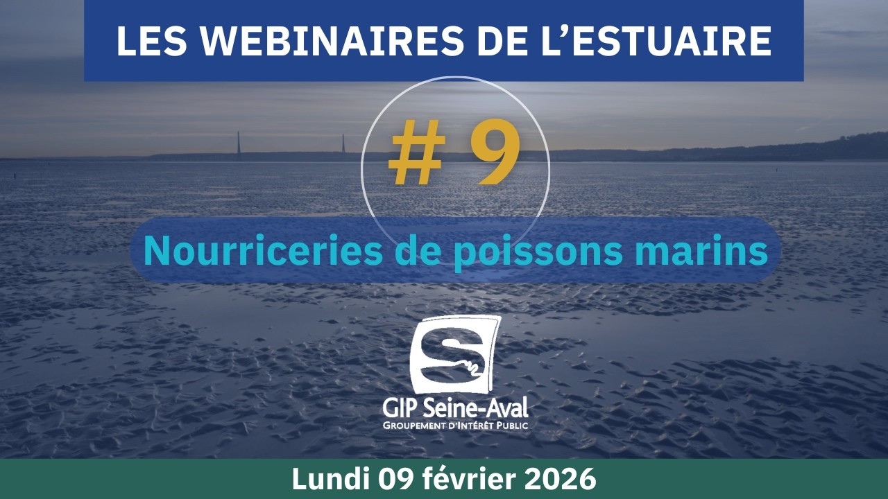 Les nourriceries de poissons marins en estuaire de Seine