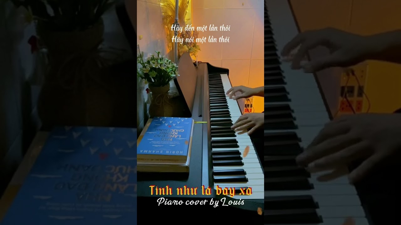 TÌNH NHƯ LÁ BAY XA / 难得有情人 / PIANO COVER BY LOUIS NGUYEN