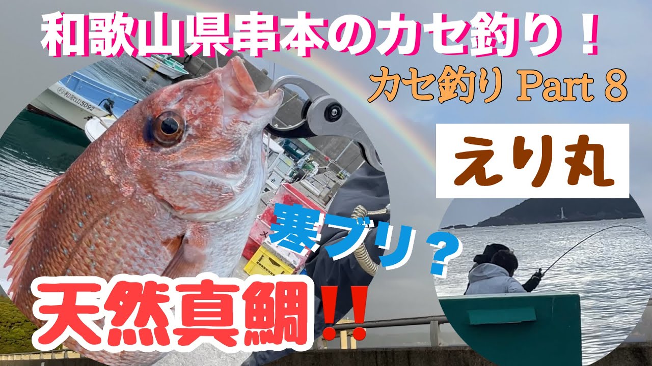 『えり丸』2024年、2月17日串本カセ釣り！Part8