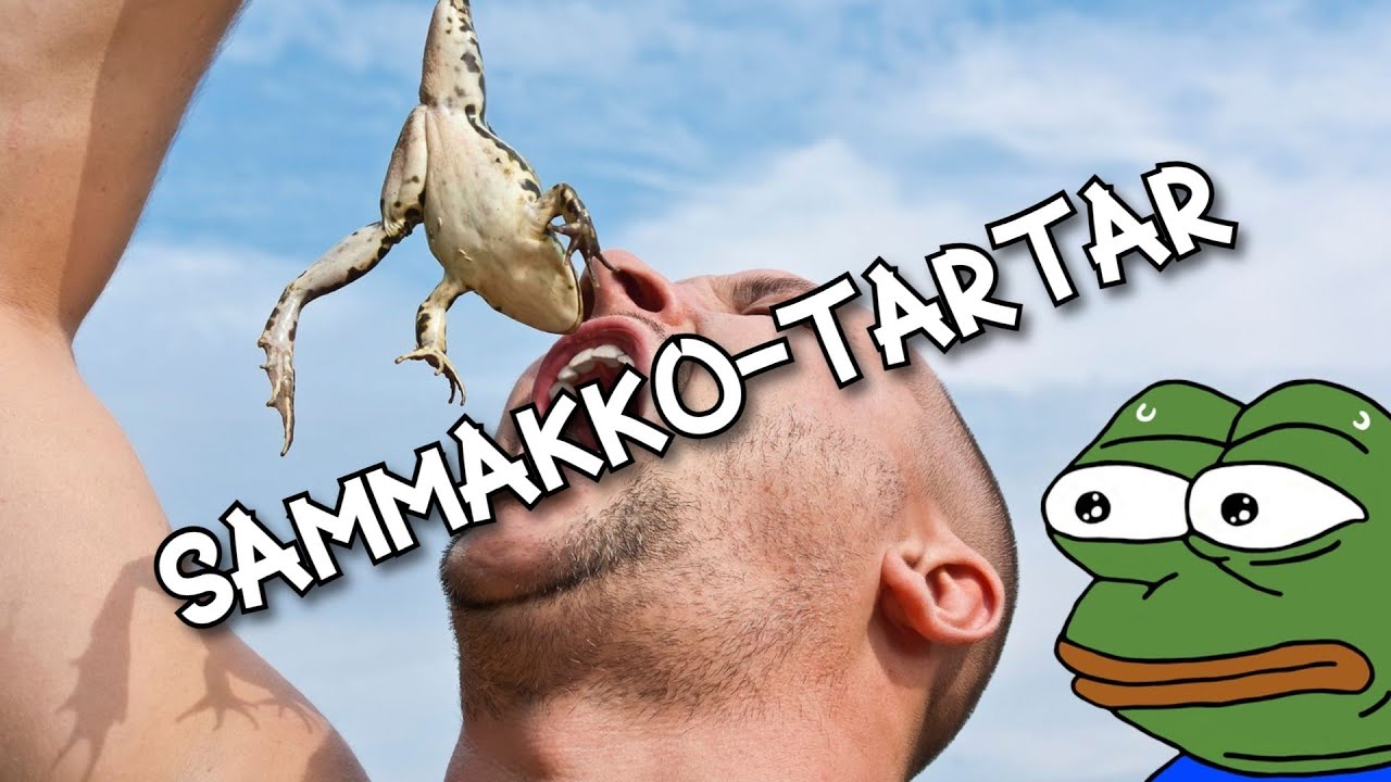 Sammakko-tartaria rippileirillä