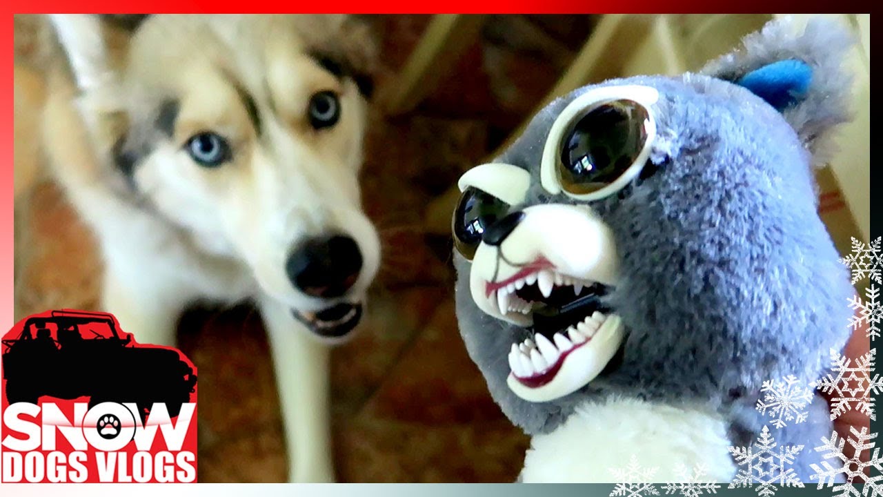 SCARY STUFFED ANIMAL