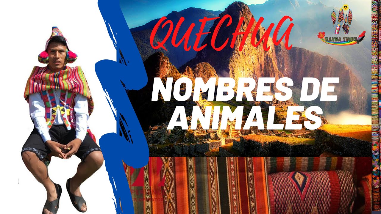 NOMBRES DE ANIMALES EN QUECHUA/Aprende Quechua con Wayna Tunki