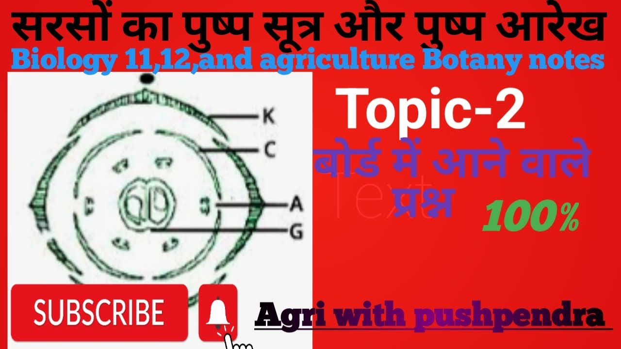 Biology 12 पुष्प सूत्र और आरेख़,सरसों का पुष्प सूत्र  pushp Sutra,floral formula 2023