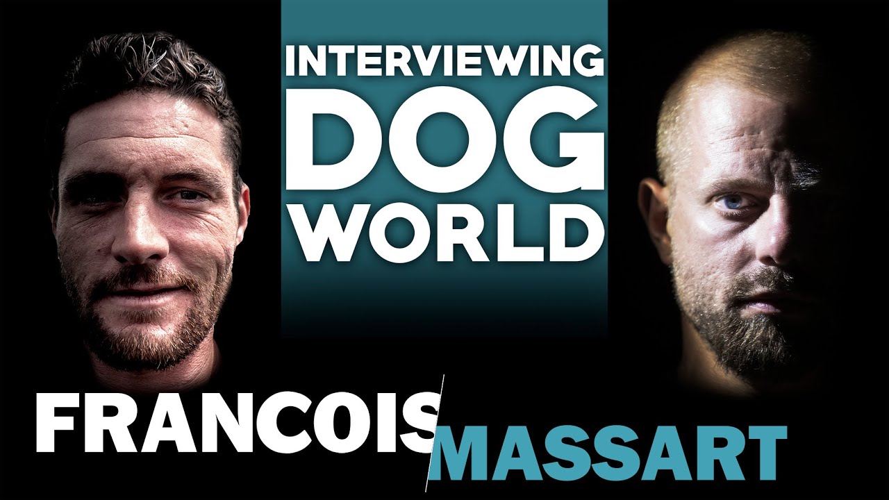 Interviewing Dog World #23 | Francois Massart