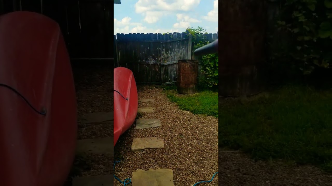 shooting a cookie every day until I hit 100 subs part 7