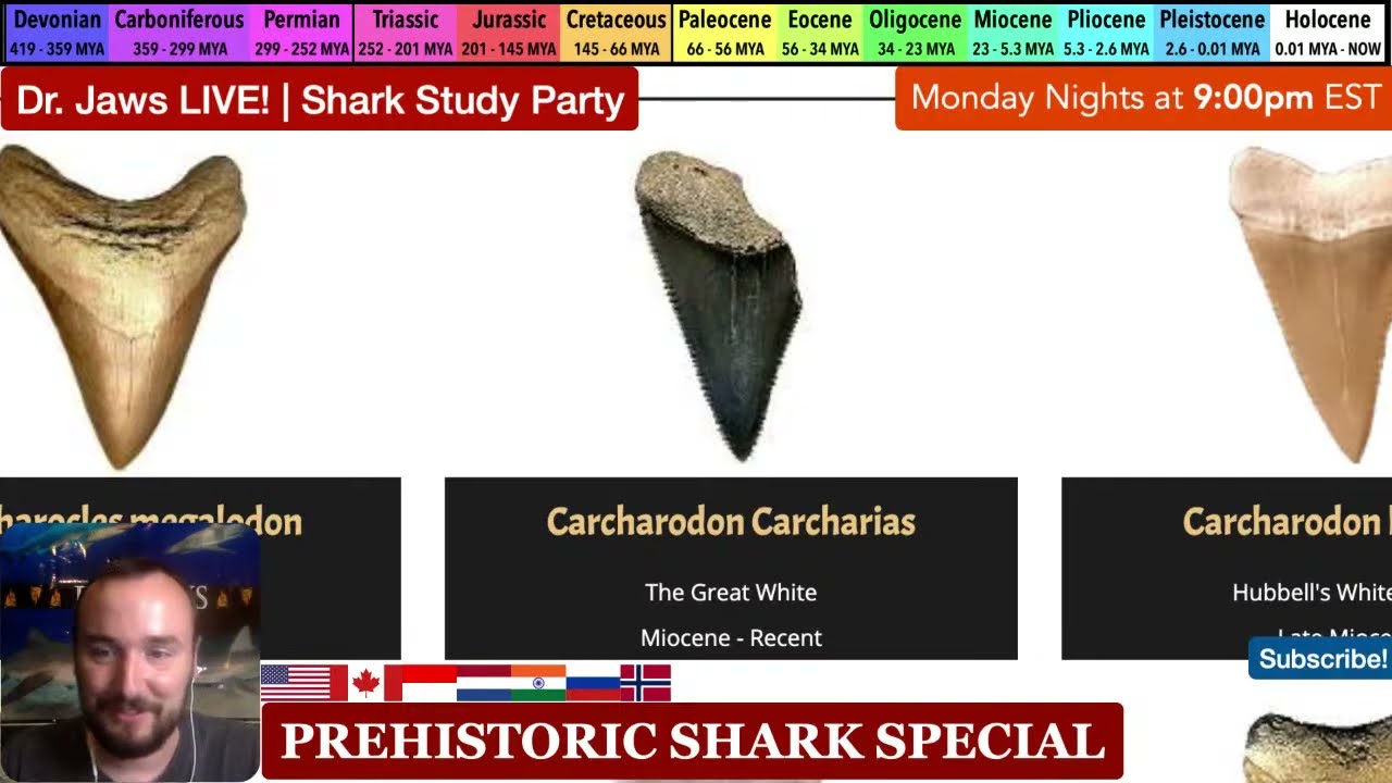 Dr. Jaws LIVE! #134F Prehistoric Shark Special