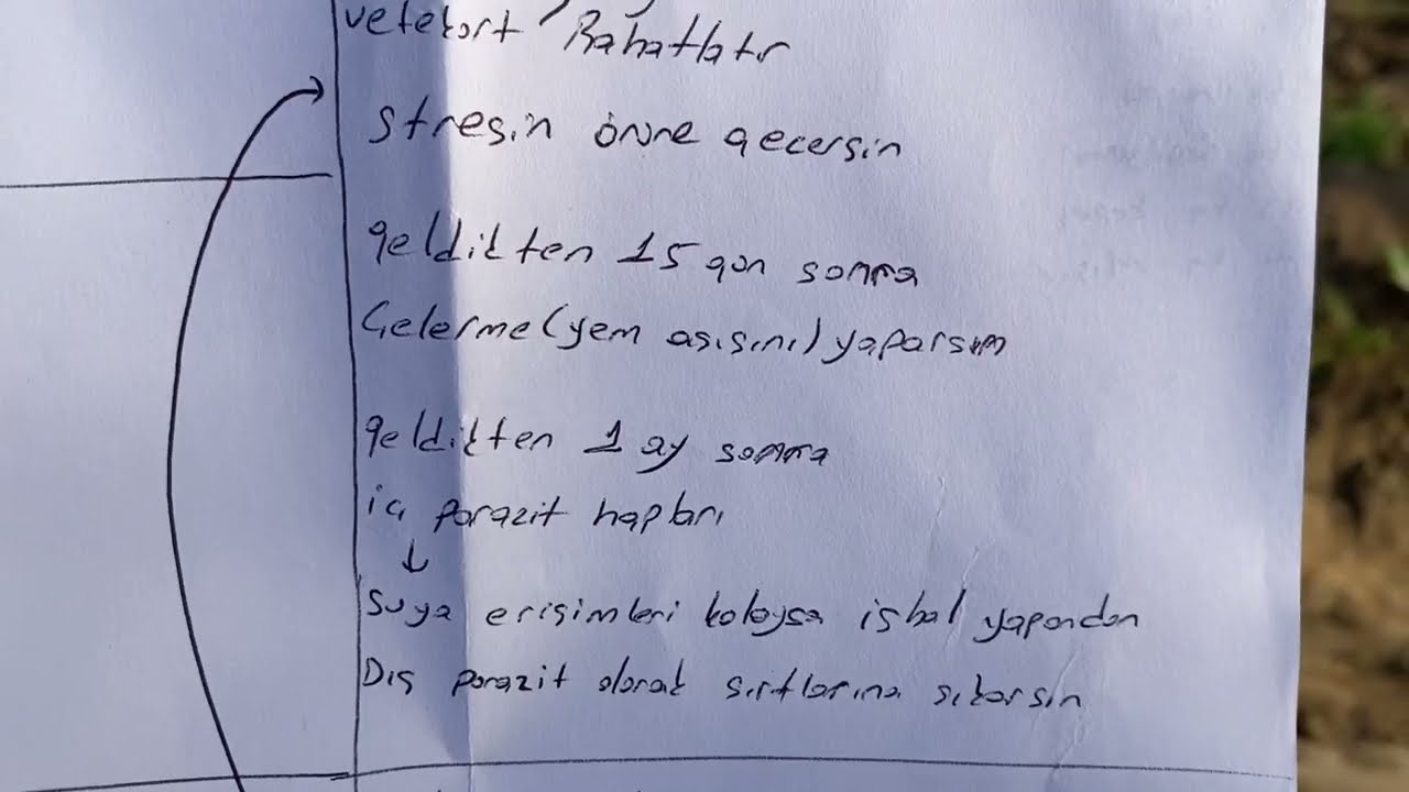 KISIR İNEK RASYONU