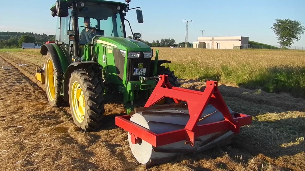 Mulch im Gemüsebau: plantation dans couvert