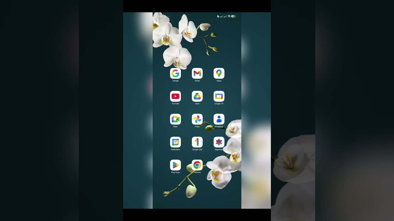Google WorkSpace