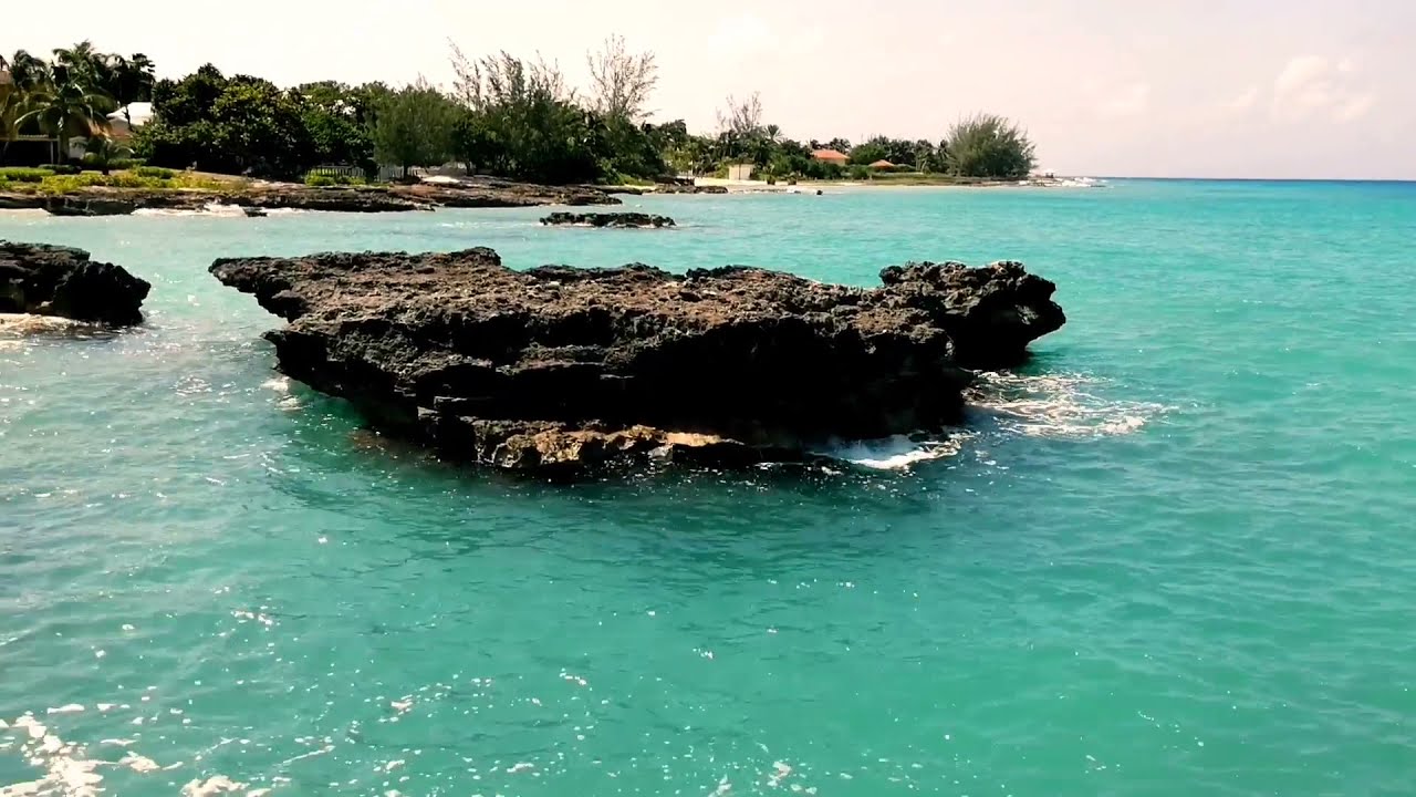 Smith Cove | Grand Cayman | Places To Visit In Cayman Islands