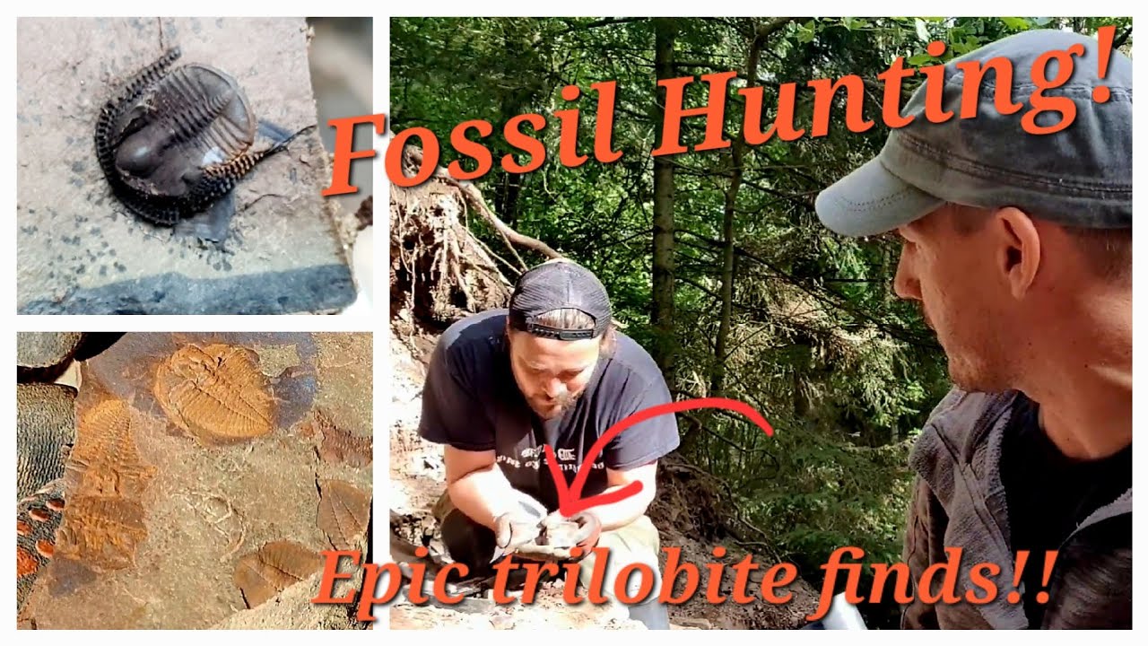 Fossil Hunting! The Deep ocean!!                                     Did we really find this!? 🤠😲