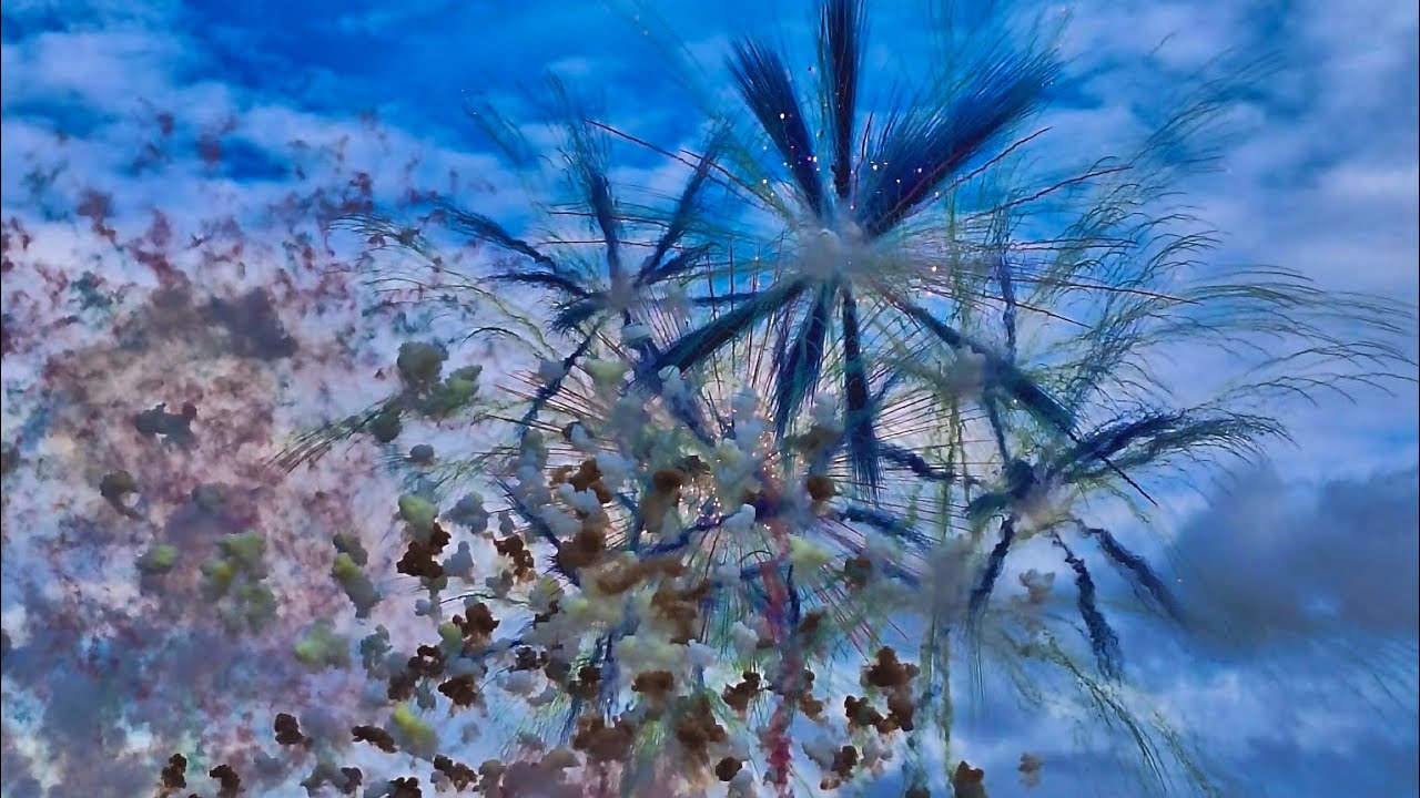 FUOCHI D’ARTIFICIO ADELFIA 2023 - SAN TRIFONE - PIROTECNICA LA TITESE #fire #fireworks #iphone14