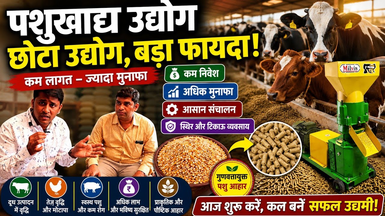 पशुखाद्य निर्मिती उद्योग । Business ideas।Cattle feed Business success story