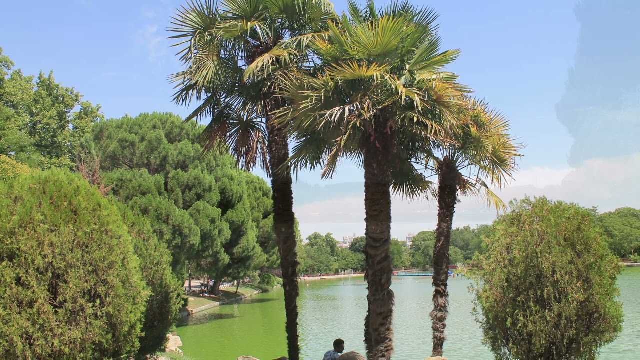 Casa de campo y el lago . Madrid