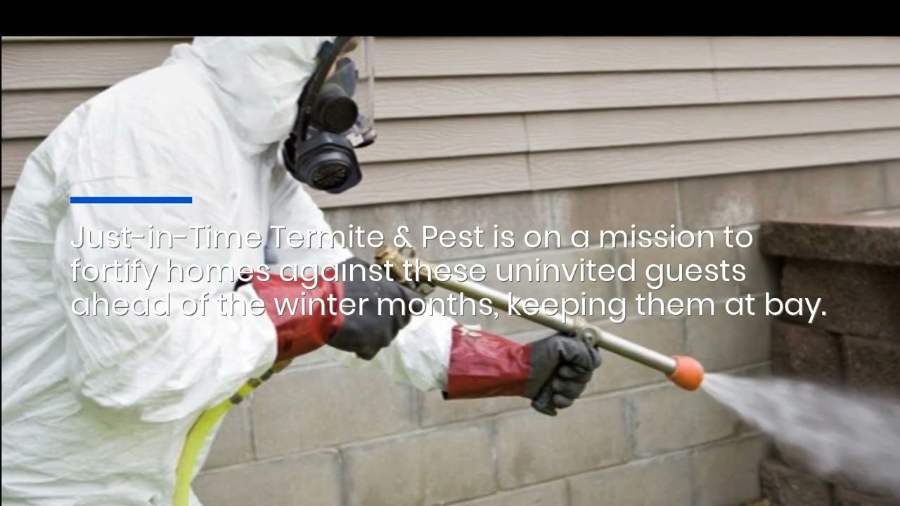 Conroe Pest Control Service Uses Natural Products To Exterminate Mice, Fleas, Termites & Fire Ants