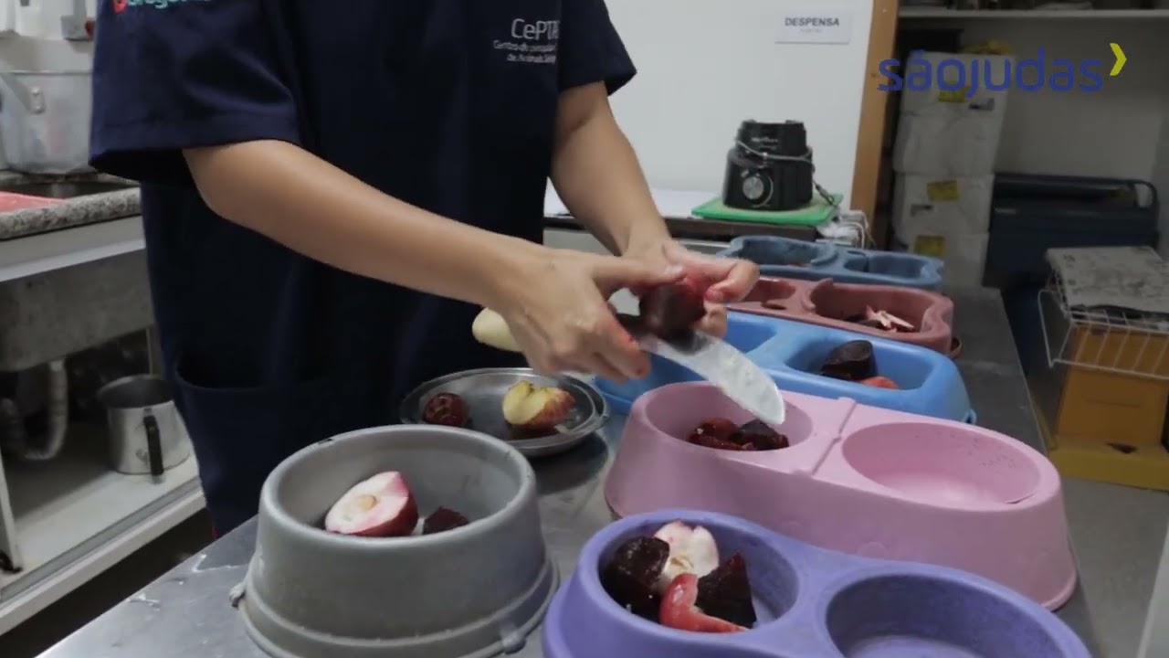 CEPTAS Unimonte (Cubat&atilde;o) - Visita e Rebranding