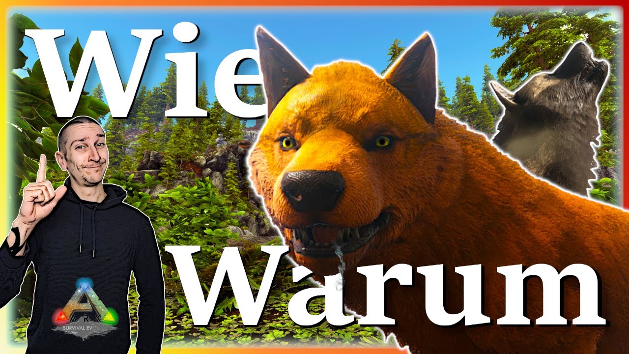 ARK Taming Guide | Direwolf z&auml;hmen & seine F&auml;higkeiten mit Humor