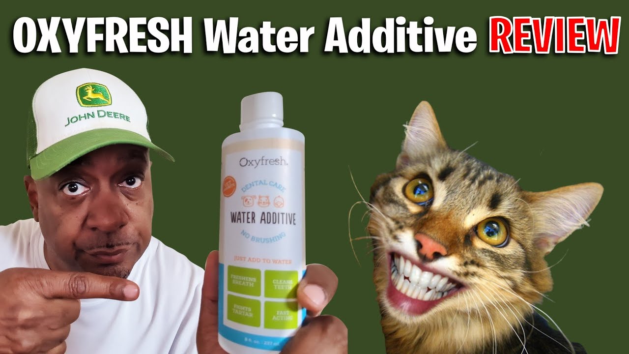 OXYFRESH Water Additive REVIEW | Cool Cats & The D.E.V.