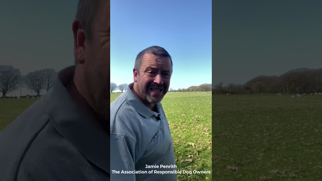 Jamie Penrith on dogs chasing, worrying or attacking livestock or other animals ...