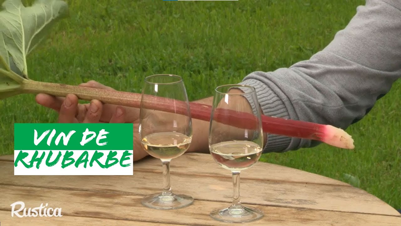 Vin à la rhubarbe