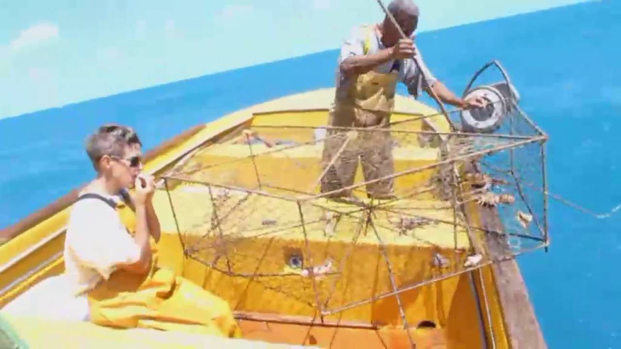 Pêche au Cassier en Guadeloupe : Langoustes et Poissons avec Max
