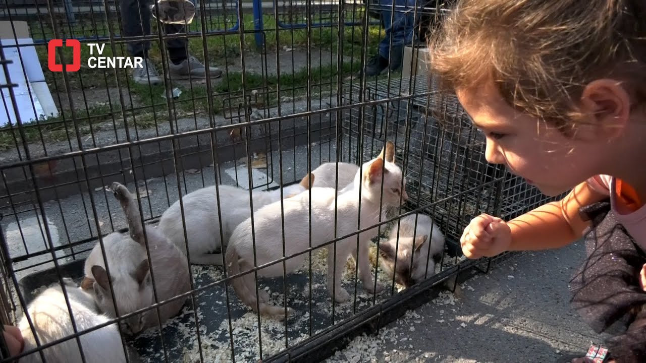 Jesenja berza SITNIH ŽIVOTINJA 2023