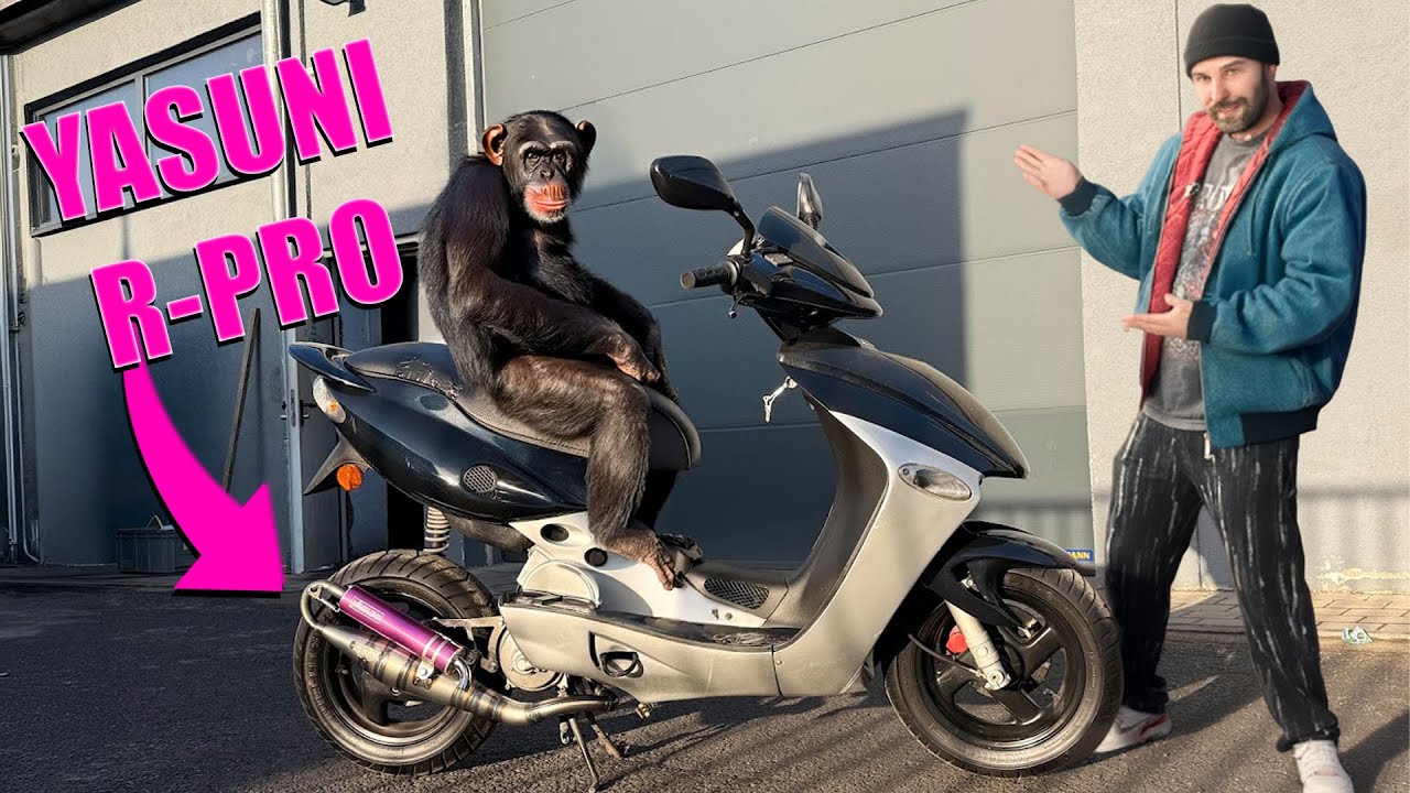 Auspuff entdrosseln und neue Front f&uuml;r die Malaguti F15! Kleine Weihnachtstunerei Teil 4