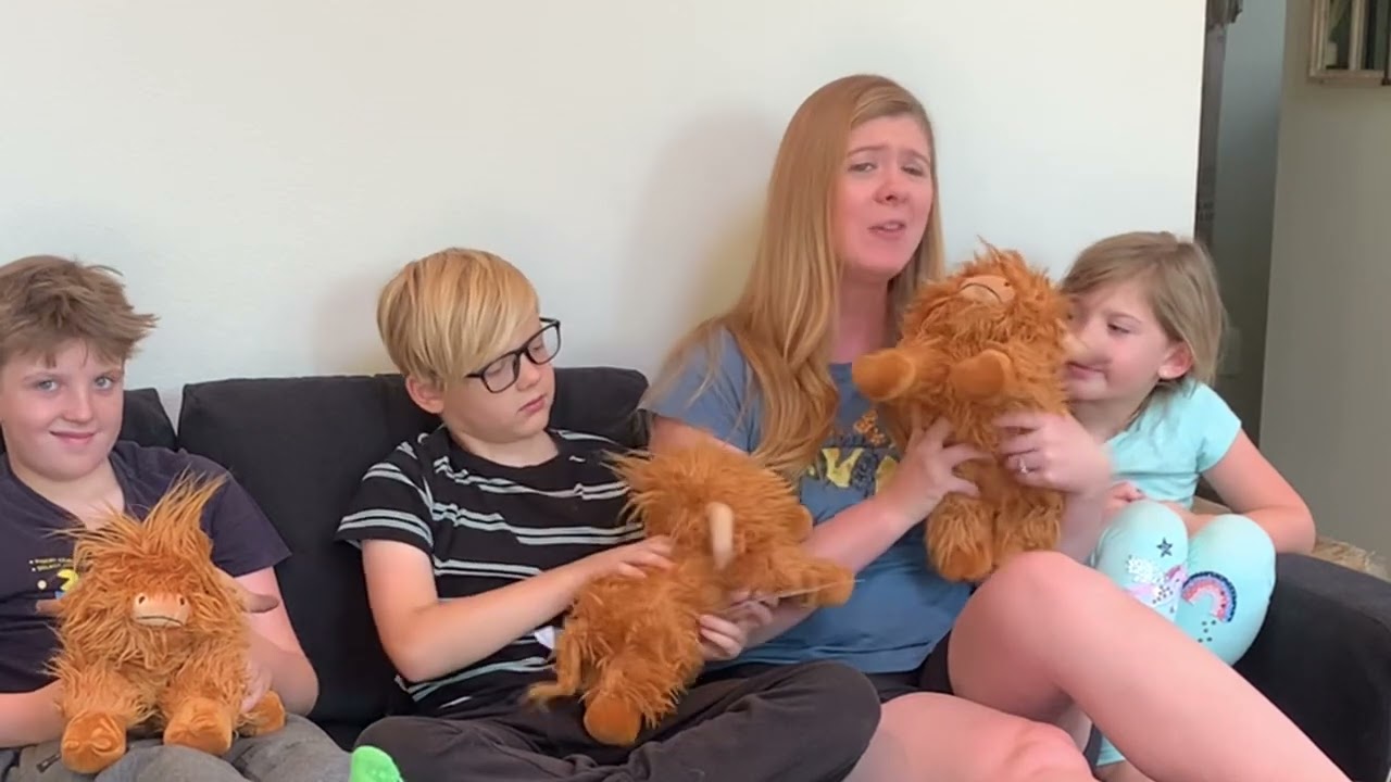 Cuckool microwaveable highland cow stuffed animals review and demo by Sara