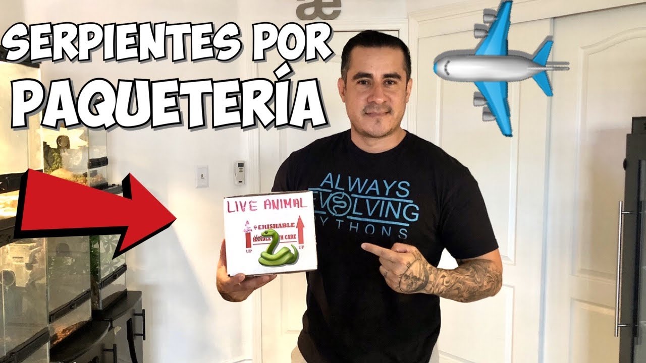 Empacando Serpientes (AsÍ Enviamos Nuestros Animales En Todo USA)