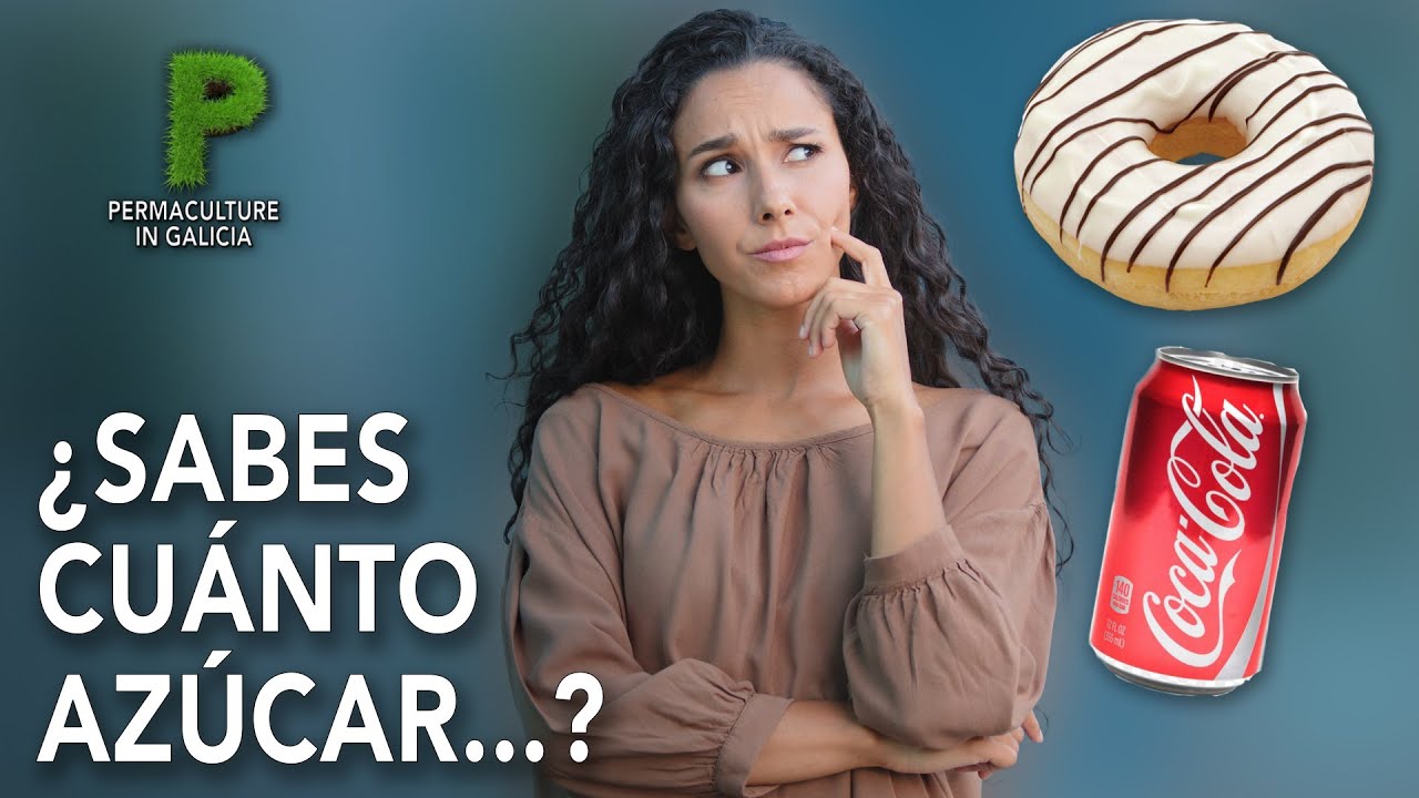 Azúcar - Cantidad de azucar en las bebidas y alimentos procesados - Permacultura en Galicia