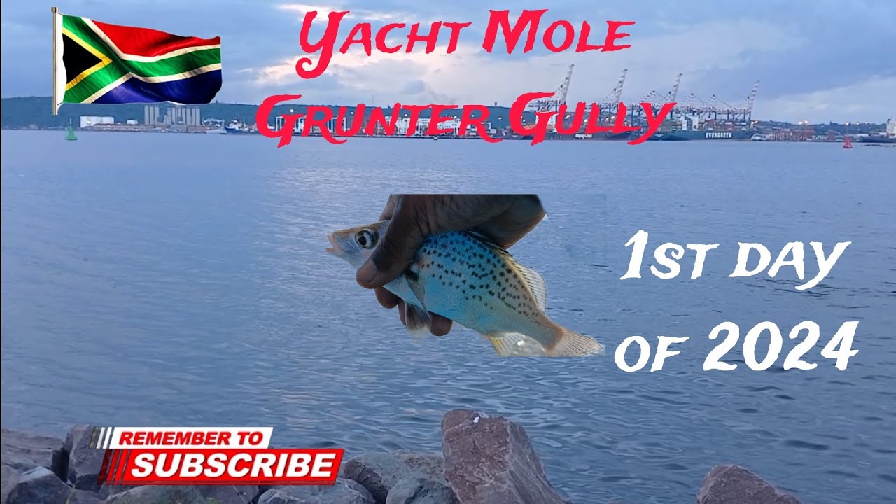Fishing in Yacht Mole and Grunter Gully
