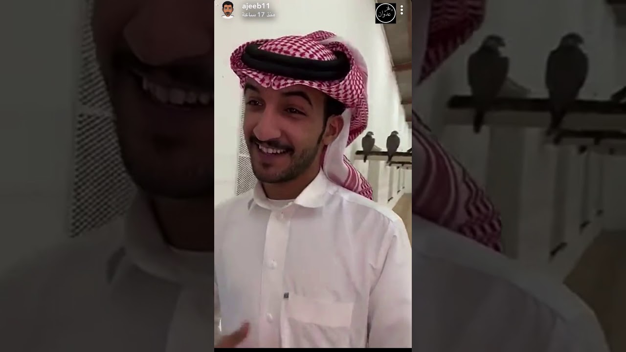 تغطية أعلامي السناب|محمد ناصرالعجيب لمربط العدواني لصقور أ|فالح بن محمدالعدواني|بحفرالباطن العداوين|