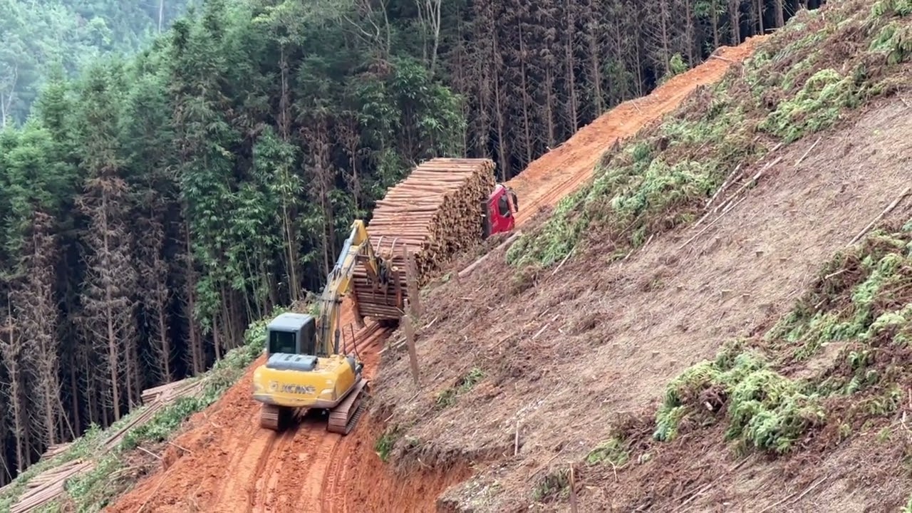 Pulling wood in the mountains is not easy with every step