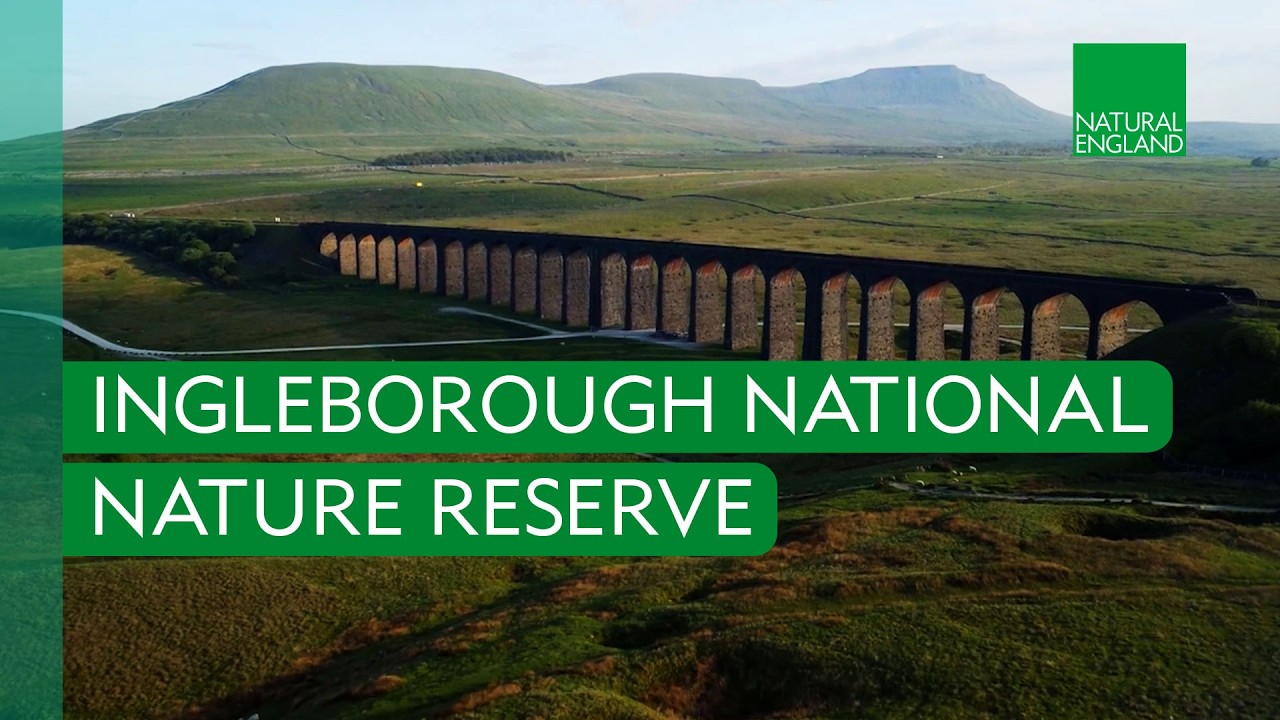 Ingleborough National Nature Reserve