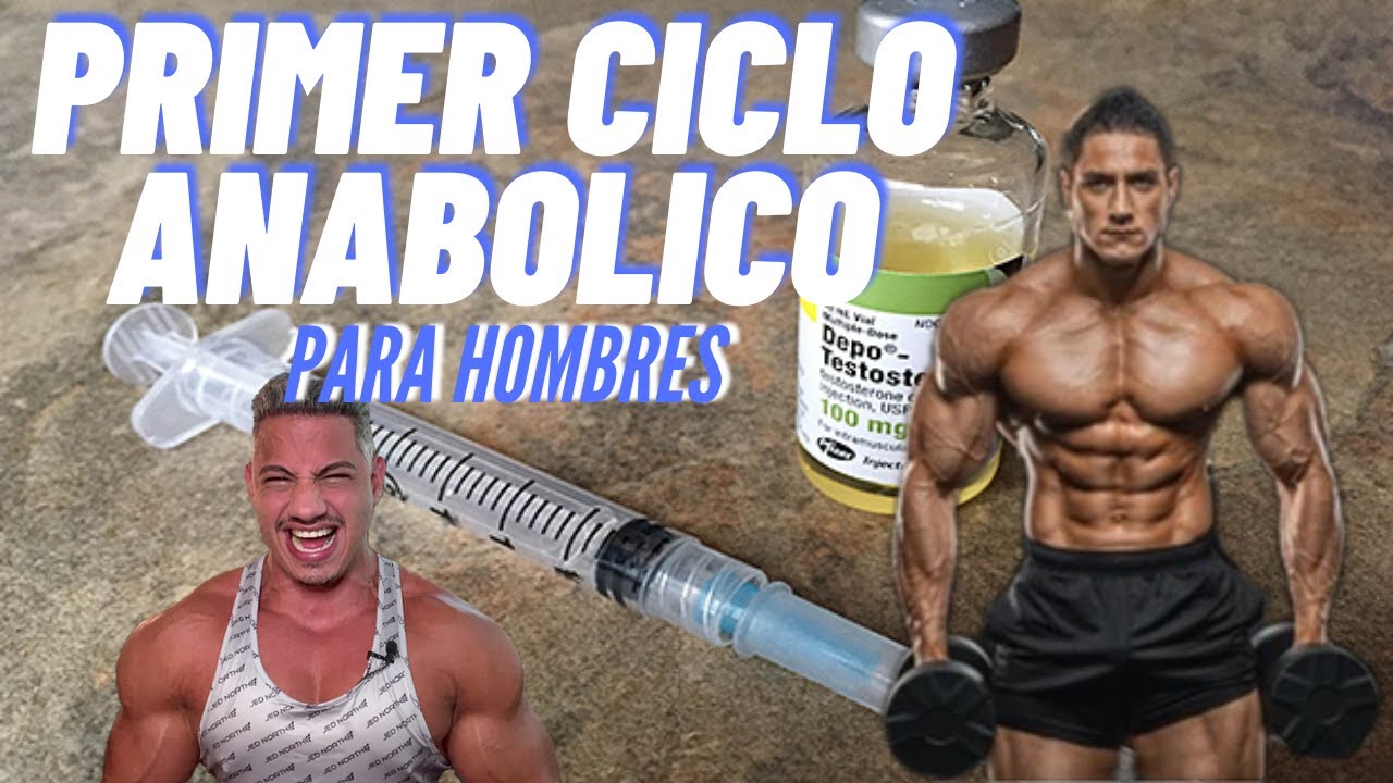 PRIMER CICLO ANAB&Oacute;LICO|| CICLO de PRINCIPIANTE || PARA HOMBRES