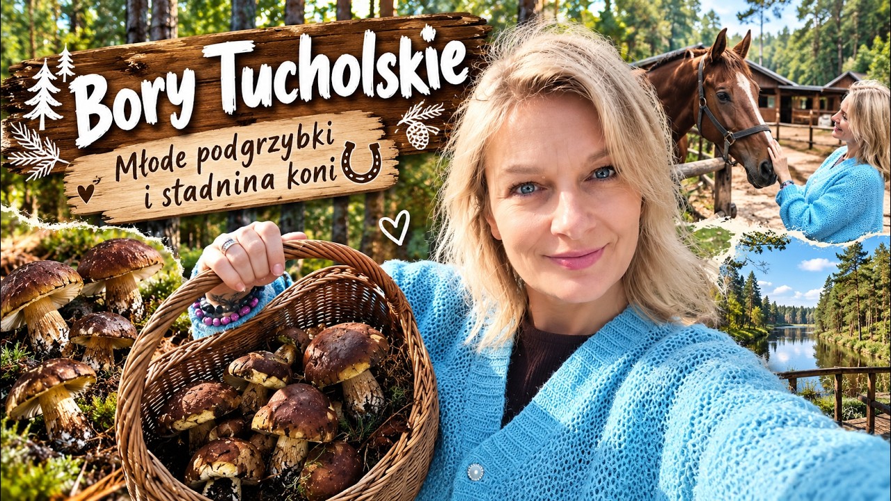 Grzybobranie 2026🍄🌲Podgrzybki stadnina koni 