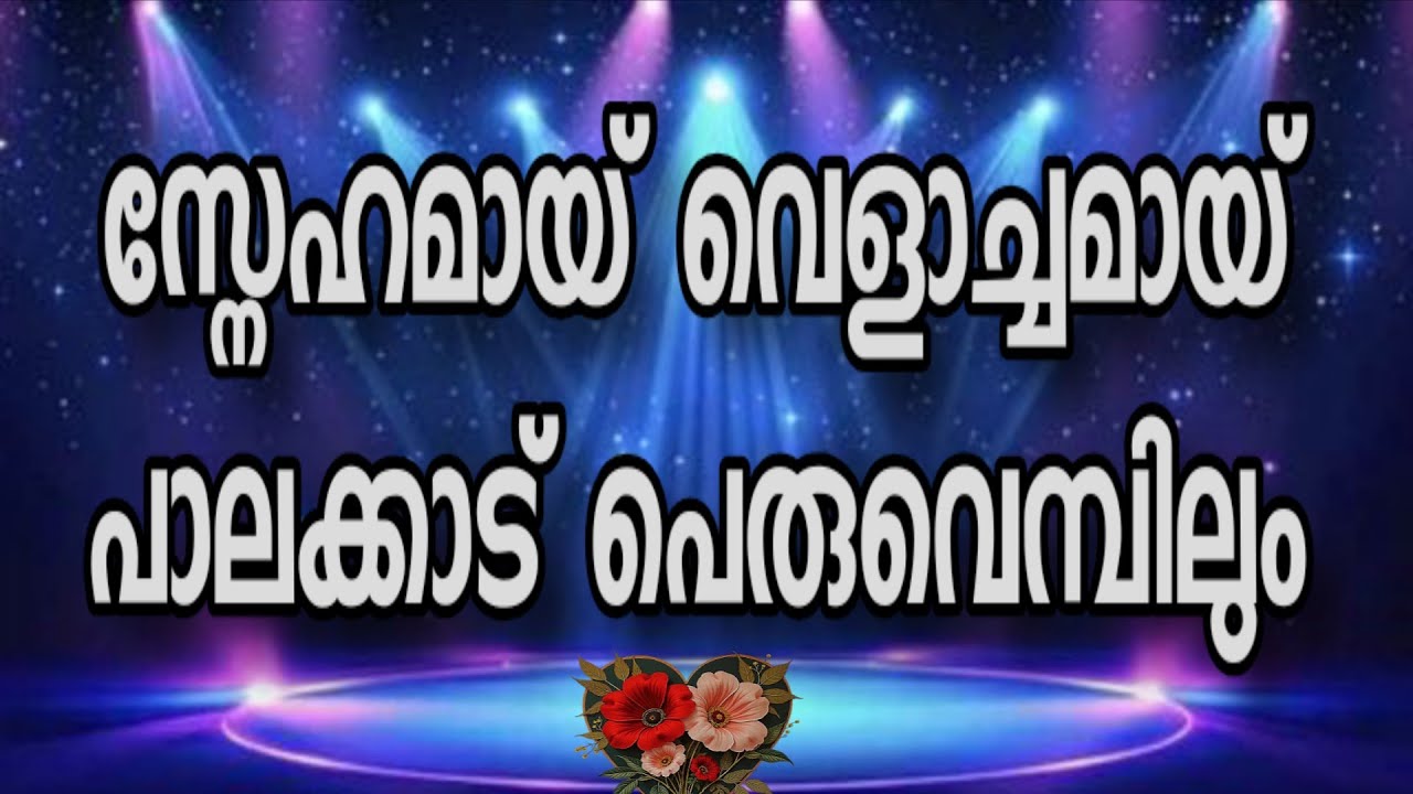 വെളിച്ചമായ് സ്നേഹമായ് പാലക്കാട് പെരുവെമ്പിലും