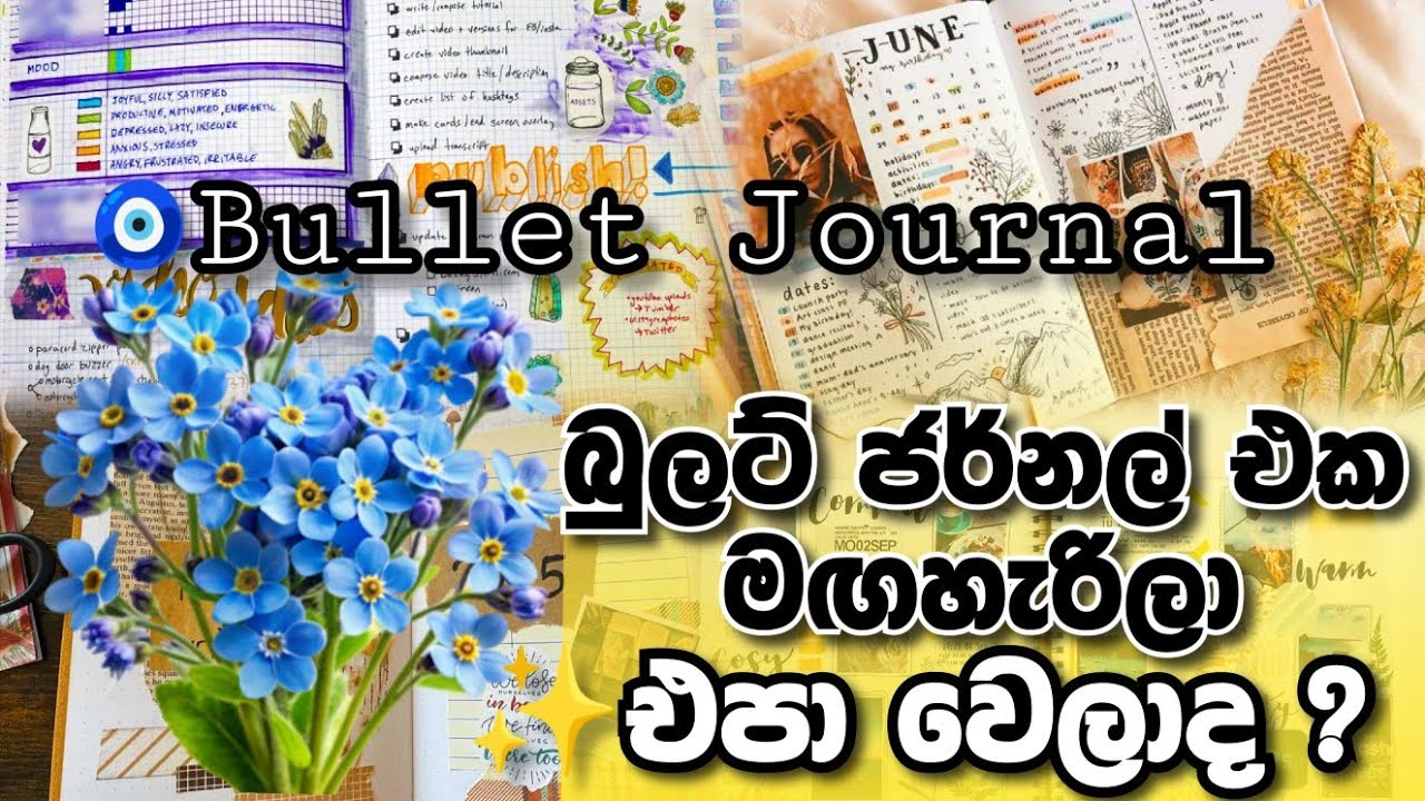 බුලට් ජර්නල් එක මඟහැරිලා එපාවෙලාද ? 🌿😮 එන්න අපි ආයෙම පටන් ගමු මෙහෙම 🧿 #bulletjournal #journal #viral