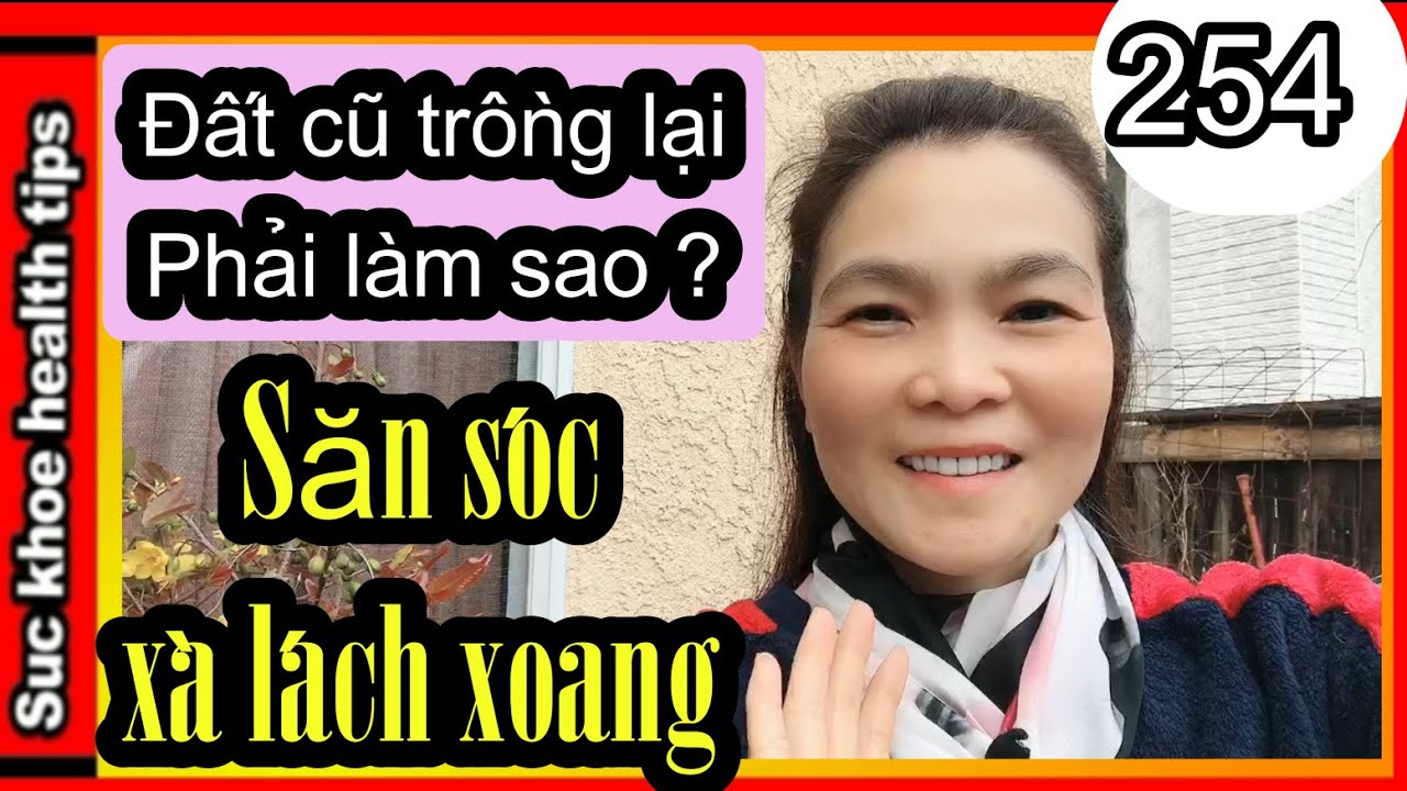 Lấy ĐẤT Cũ trồng lại CHO TỐT, chọn PHÂN fertilizers, MAKE OLD SOIL GOOD #254 plant care, SKHT