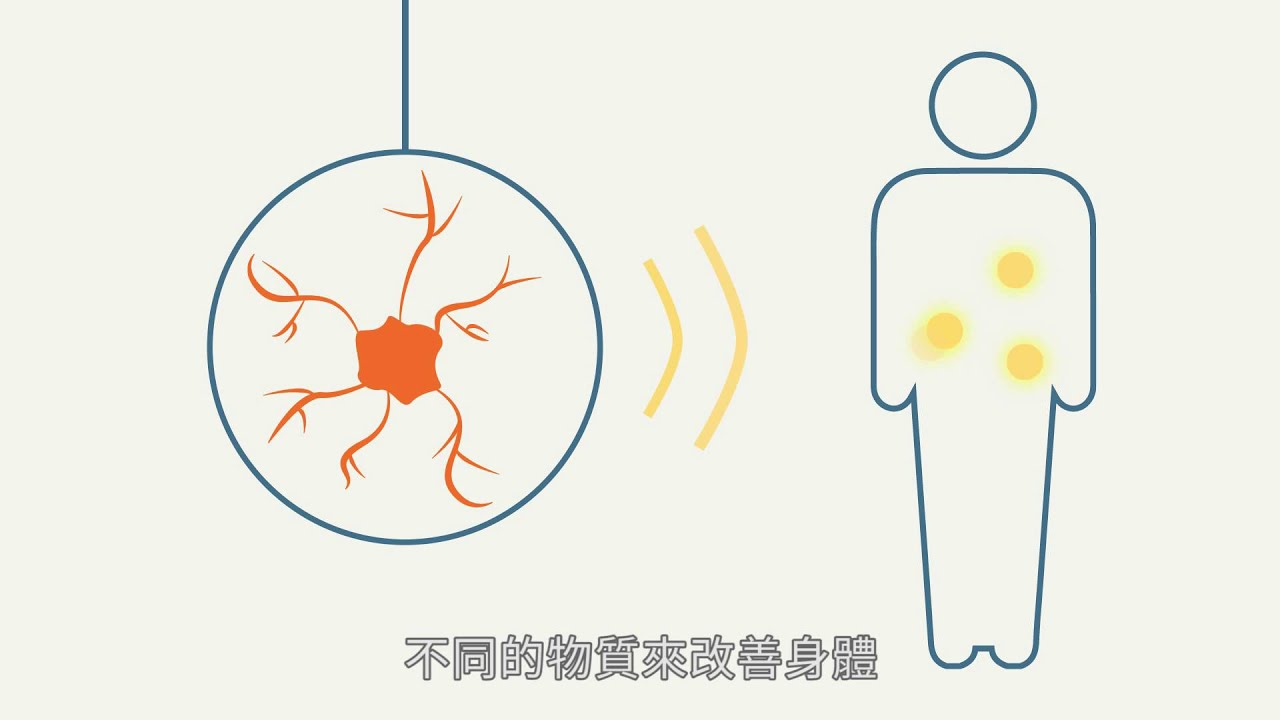 兩分鐘看腸道如何影響我們的心情