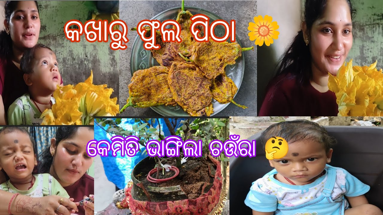 କଖାରୁ ଫୁଲ ପିଠା 🌼 କେମିତି ଭାଙ୍ଗିଲା ଆମ ଚଉଁରା 🤔