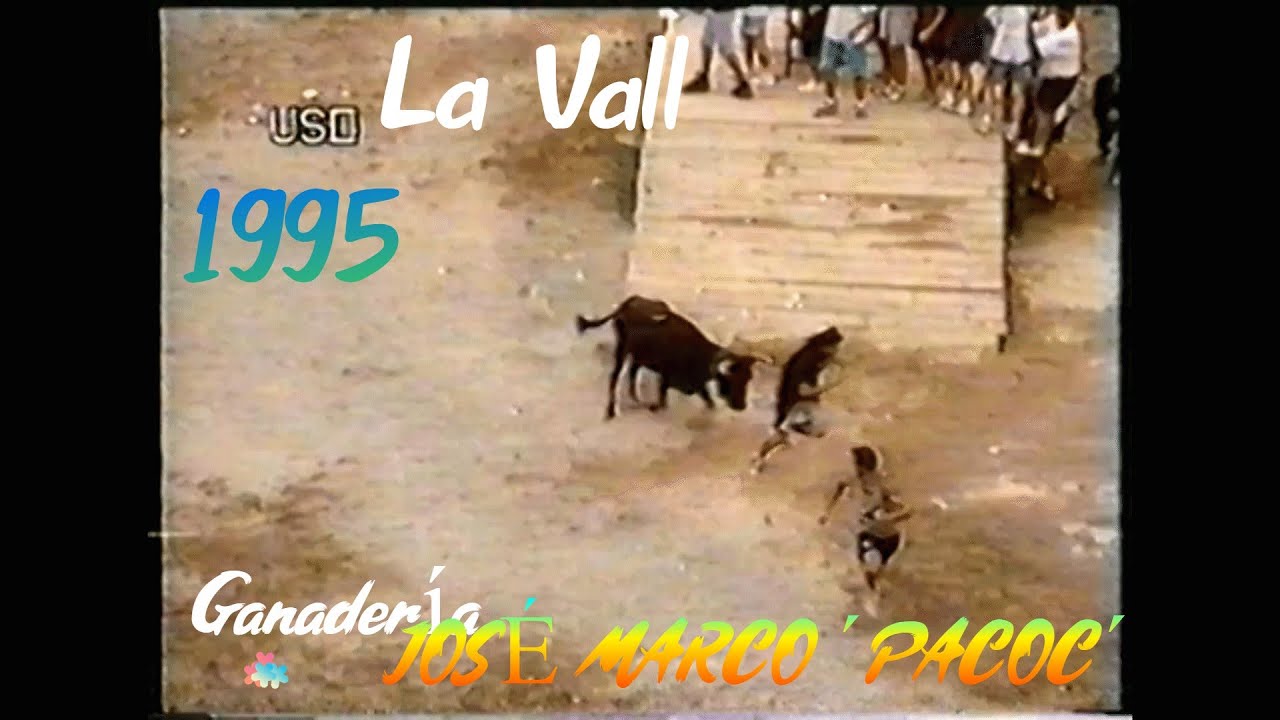 1995 LA VALL CONCURSO DE GANADERIAS JOSE MARCO PACOC CULEBRA PANTERA ESTRELLITA FURIOSO LOCA GITANA