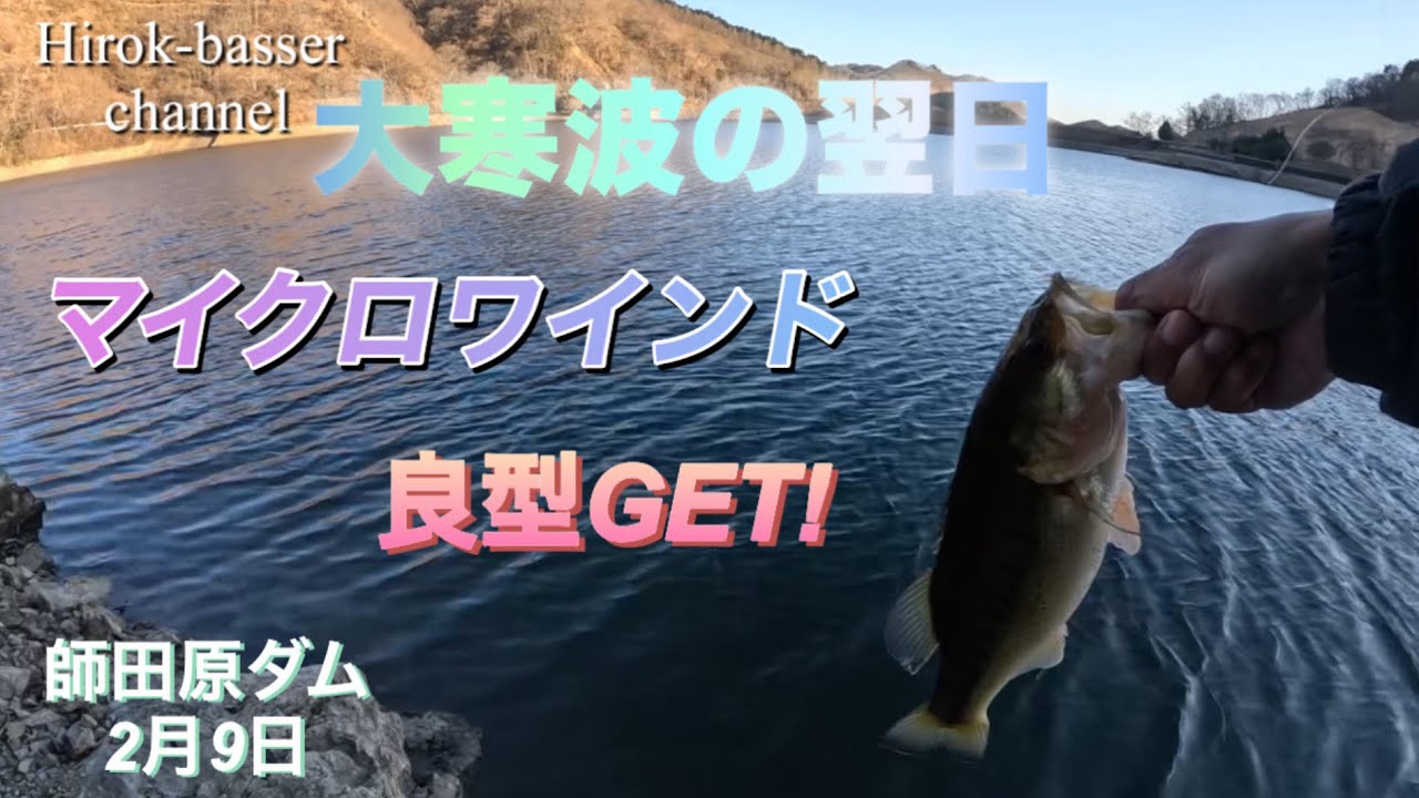 大寒波の翌日に、マイクロワインドにて良型GET！ 師田原ダム 2月9日