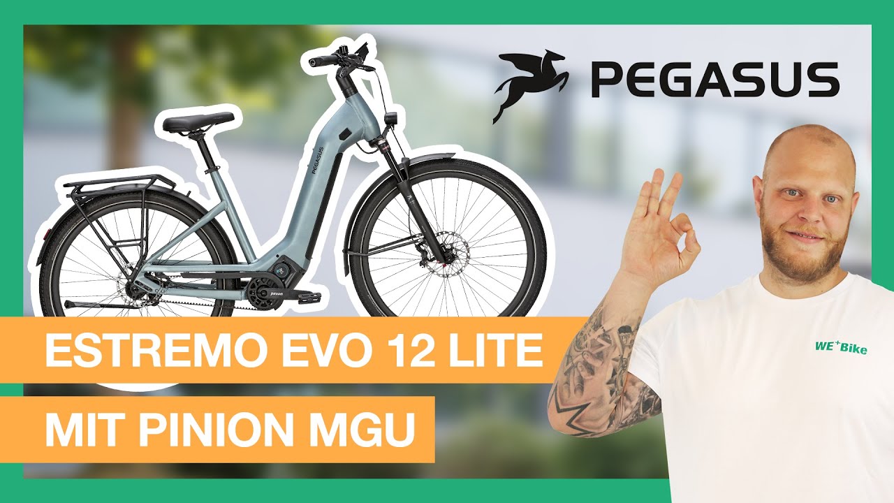 Verschlei&szlig;freie PINION MGU? | Tipps & Tricks von Olli