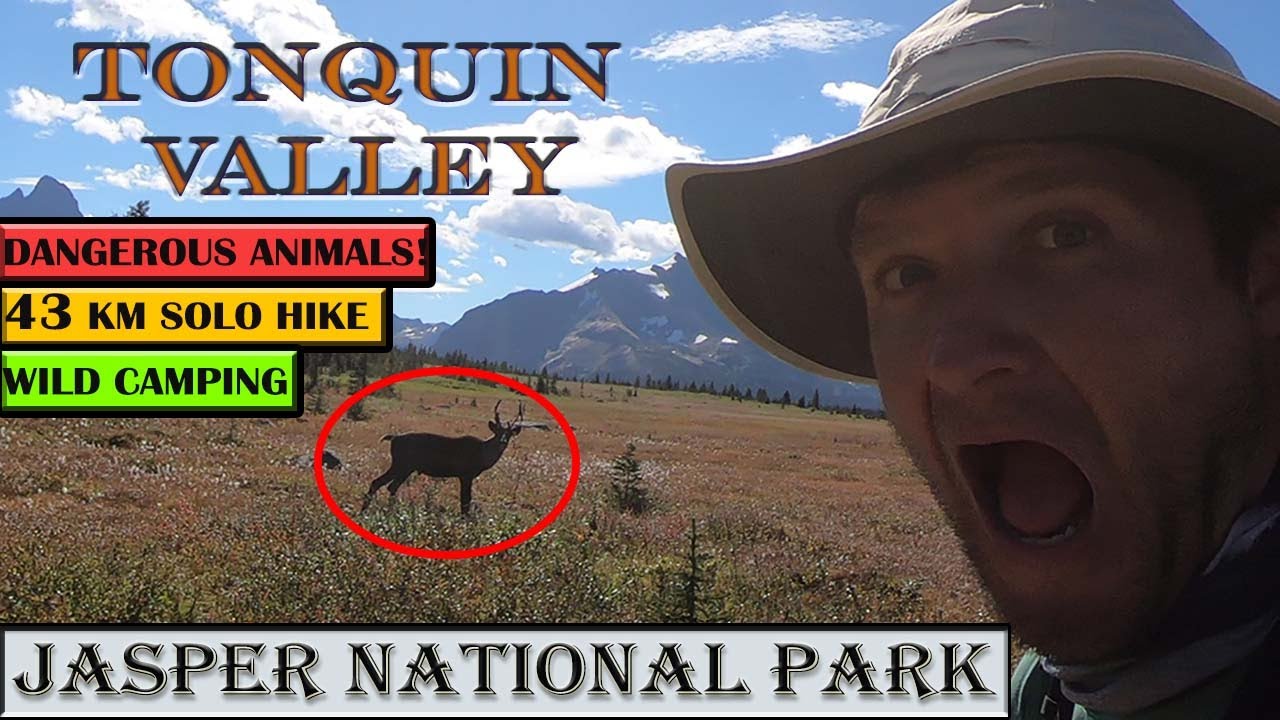 Tonquin Valley | JASPER NATIONAL PARK | Pt 1