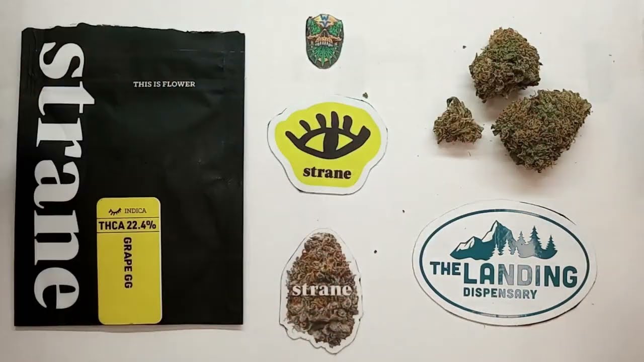 Strane Grape Gorilla Glue Flower Review