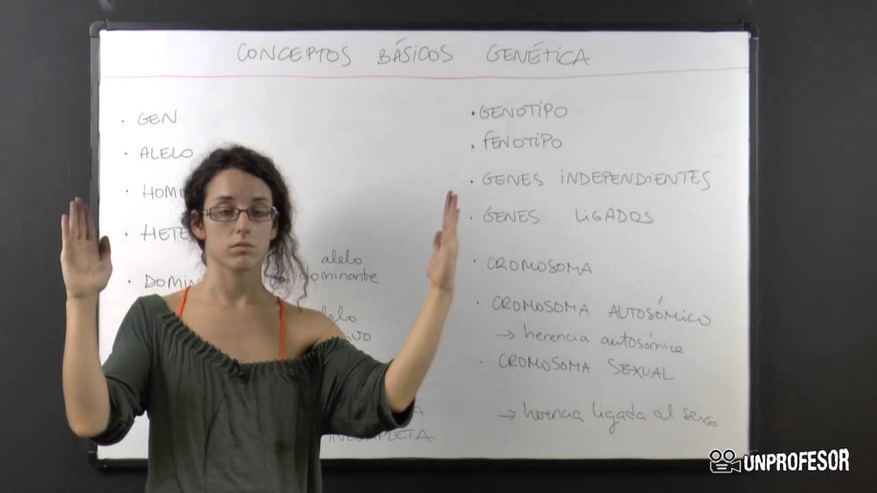 Conceptos básicos de genética