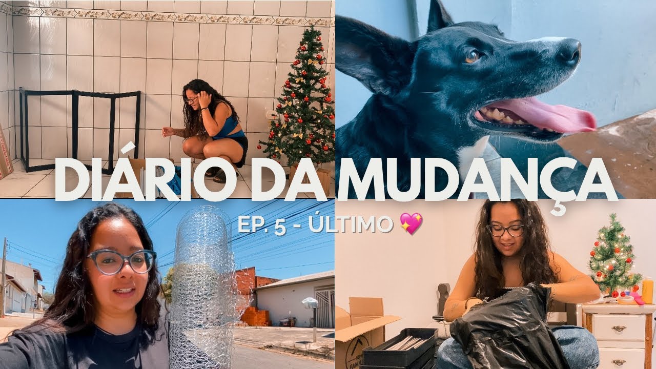 Morando Sozinha | Diário da mudança - EP.5 - ÚLTIMO | Gamora chegou, comprinhas úteis e mais…
