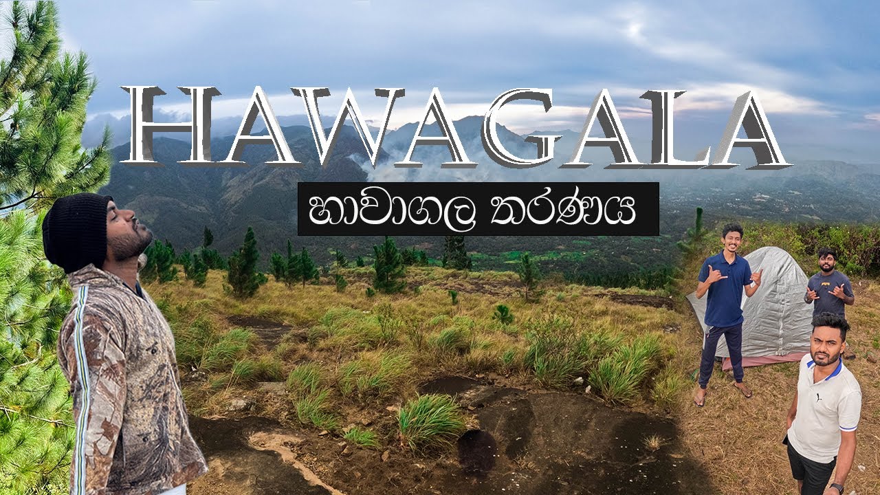 Hawagala Camping | සුන්දර හාවාගල කදු මුදුනට පාර වරද්දගන්නේ නැතුව යමු | Hawagala | Belihuloya🇱🇰
