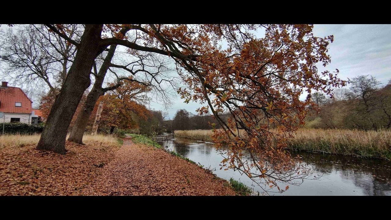 12. november 2025 Lille N&aelig;stved &ndash; &Aring;stien (Sus&aring;leden)